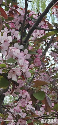 【慢想時(shí)光】+春游花園！