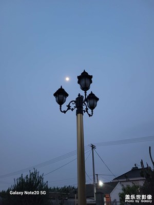 【春之夜】夜之景