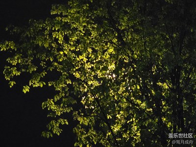 【春之夜】+漫步街道