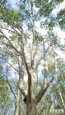 大風(fēng)來前后