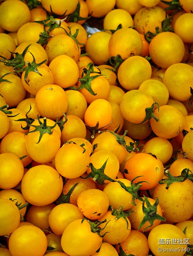 【春天的故事】+逛早市