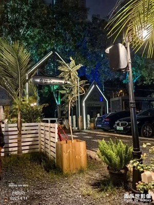 【春之夜】周五之夜