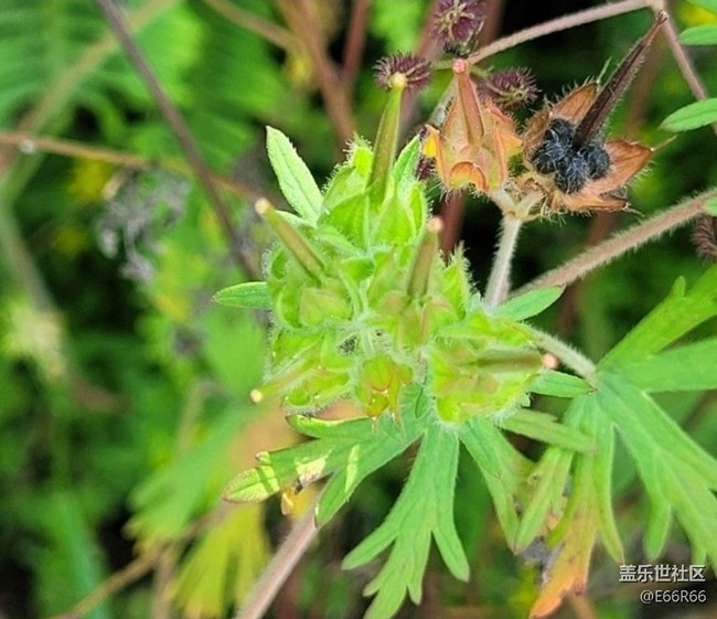 【春日盛景】春的氣息
