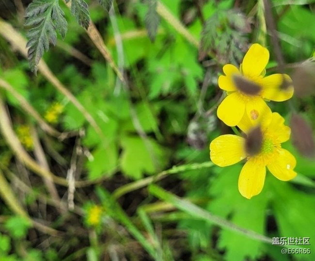 【春日盛景】春的氣息