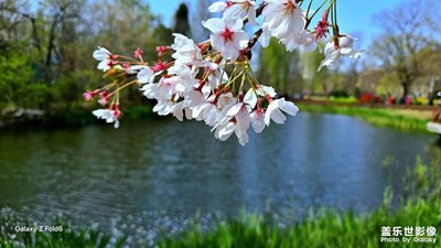 【慢想時光】～休閑拍