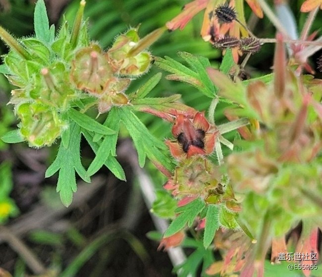 【春日盛景】春的氣息