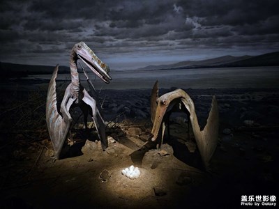 【慢想時光】+龍的時代