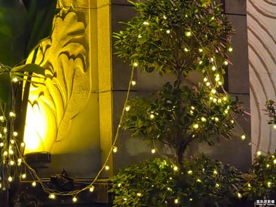 【春之夜】+美麗的夜晚