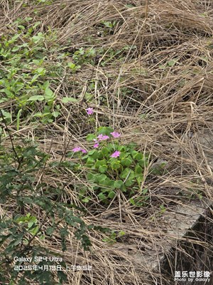 【慢想時(shí)光】春日下的農(nóng)村