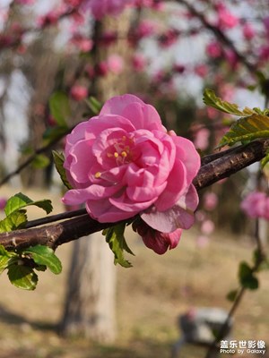 【慢想時光】+悠閑周末