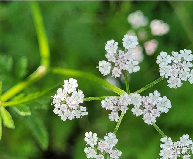 【春日盛景】春的氣息