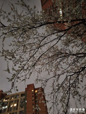 【春之夜】春雨之夜