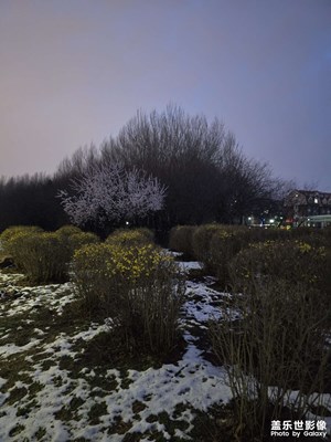 【春之夜】+雨雪交加