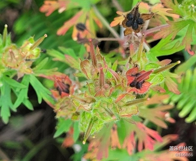【春日盛景】春的氣息