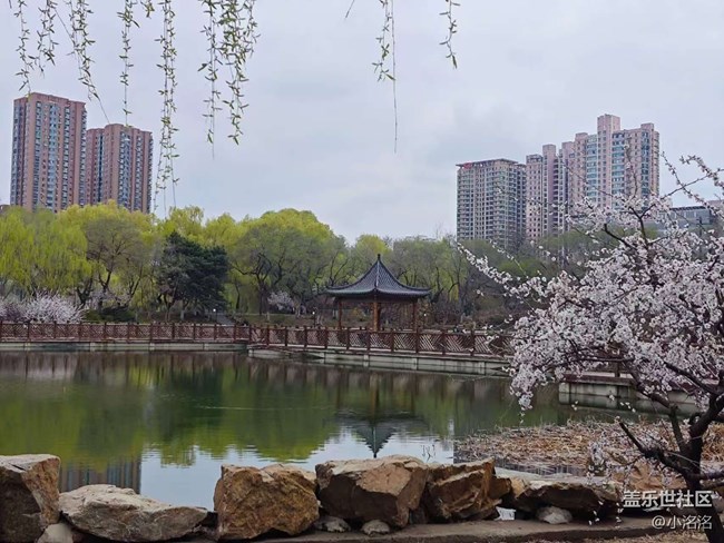 沈陽青年公園攝影活動回顧