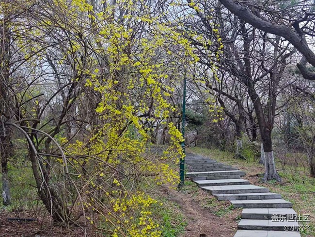 沈陽青年公園攝影活動回顧