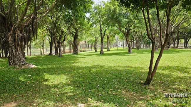 【Galaxy影像】#踏青+春游