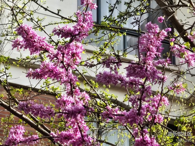 #擁抱大自然——密密麻麻