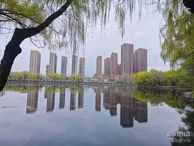 青年公園行行攝攝活動回顧