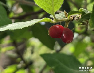 【慢想時(shí)光】+美好生活