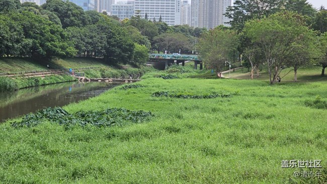 【春天的故事】春日出游
