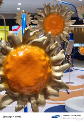 【慢想時(shí)光】別樣向日葵