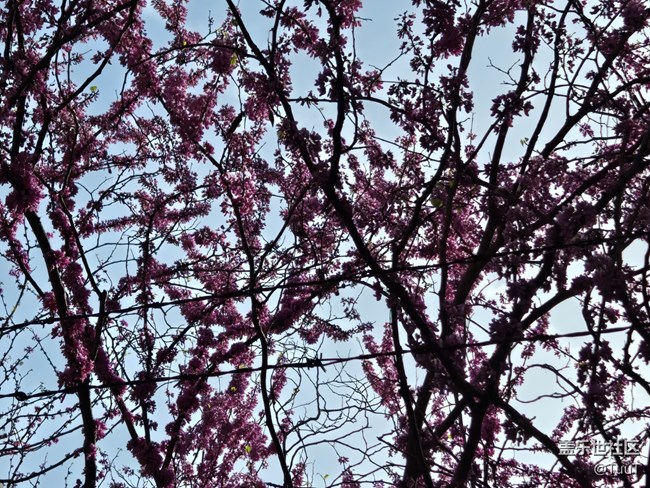 #擁抱大自然——密密麻麻