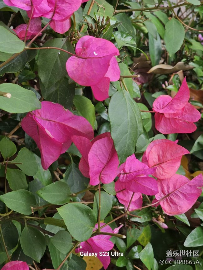 【活動(dòng)回顧】筆架山