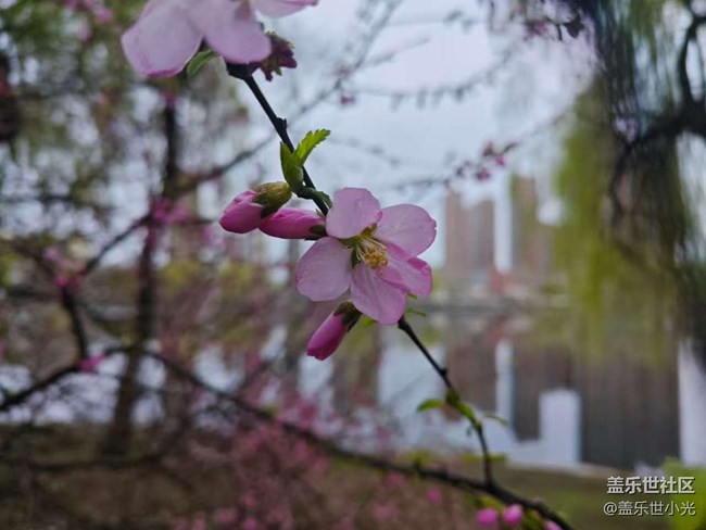 青年公園行行攝攝活動回顧