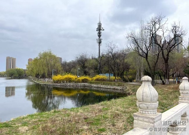 青年公園游覽及拍攝活動(dòng)回顧貼