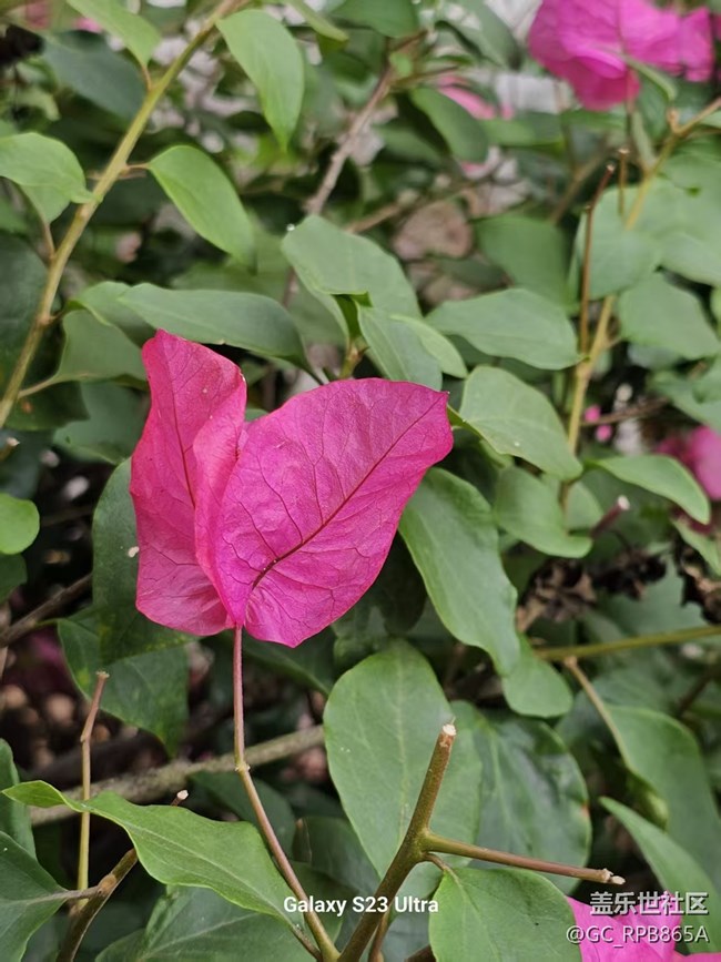 【活動(dòng)回顧】筆架山