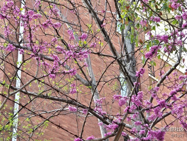 #擁抱大自然——密密麻麻