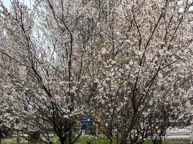 青年公園游覽及拍攝活動(dòng)回顧貼