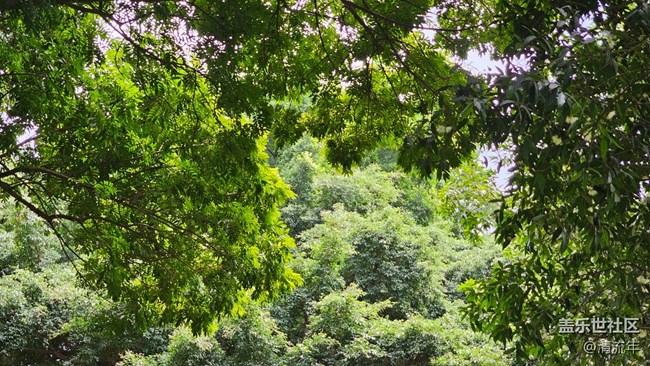 【春天的故事】春日出游