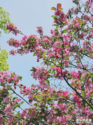 【慢想時(shí)光】閑品歲月