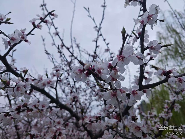 沈陽青年公園攝影活動回顧