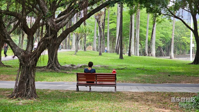 【春天的故事】春日出游