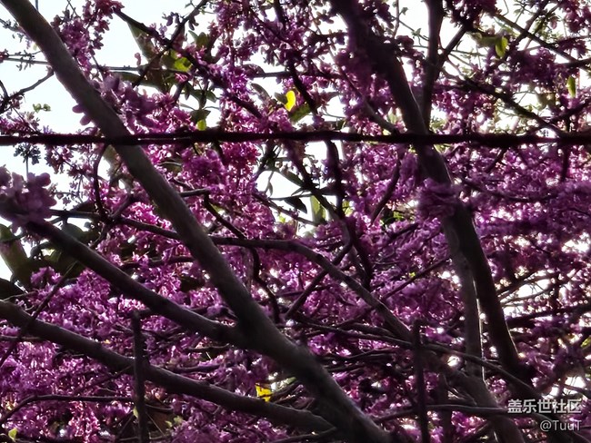 #擁抱大自然——密密麻麻