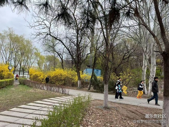 青年公園游覽及拍攝活動(dòng)回顧貼