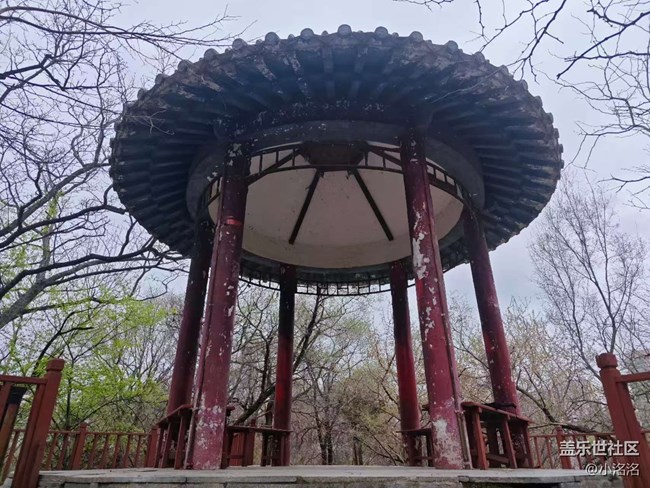 沈陽青年公園攝影活動回顧