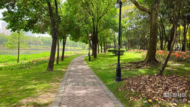 【Galaxy影像】#踏青+春游