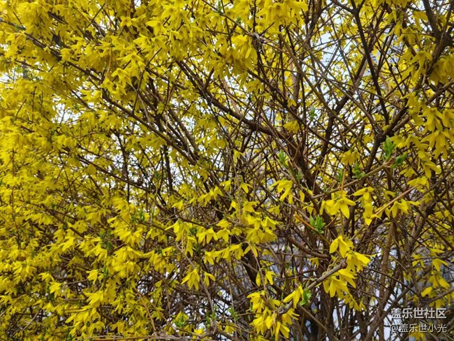 青年公園行行攝攝活動回顧