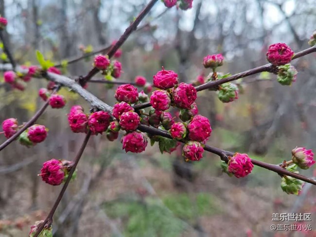 青年公園行行攝攝活動回顧