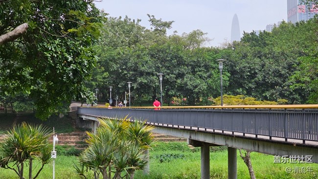 【春天的故事】春日出游