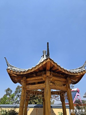 【慢想時光】春