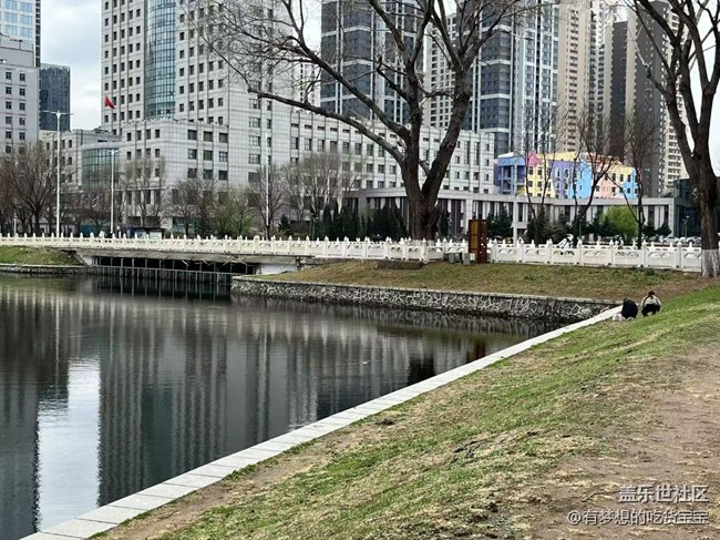 青年公園游覽及拍攝活動(dòng)回顧貼