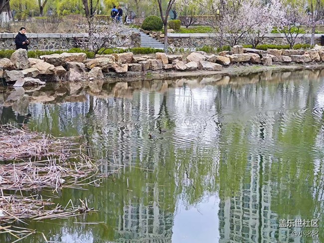 沈陽青年公園攝影活動回顧