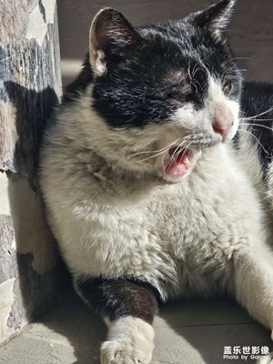 【慢想時光】+美好生活