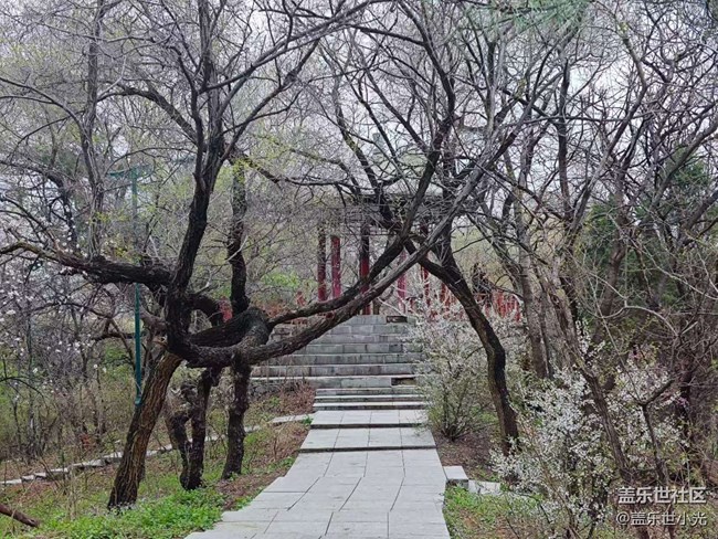 青年公園行行攝攝活動回顧