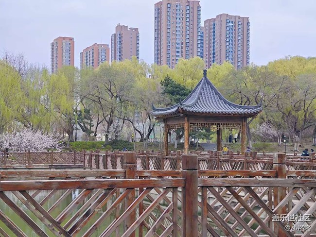 沈陽青年公園攝影活動回顧